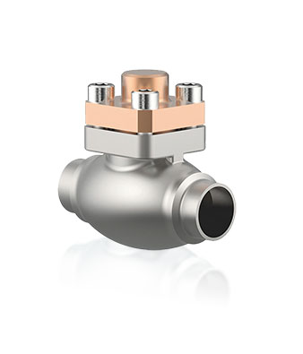 Cryogenic Check Valve