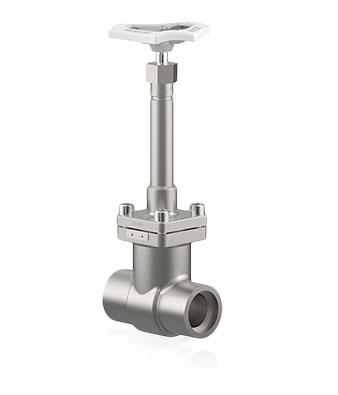 Cryogenic Gate Valve