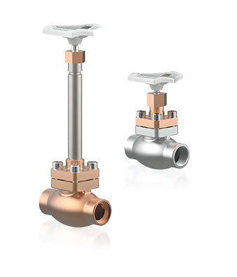 Cryogenic Globe Valve