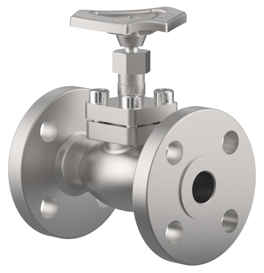 Type 03651 - Globe Valve