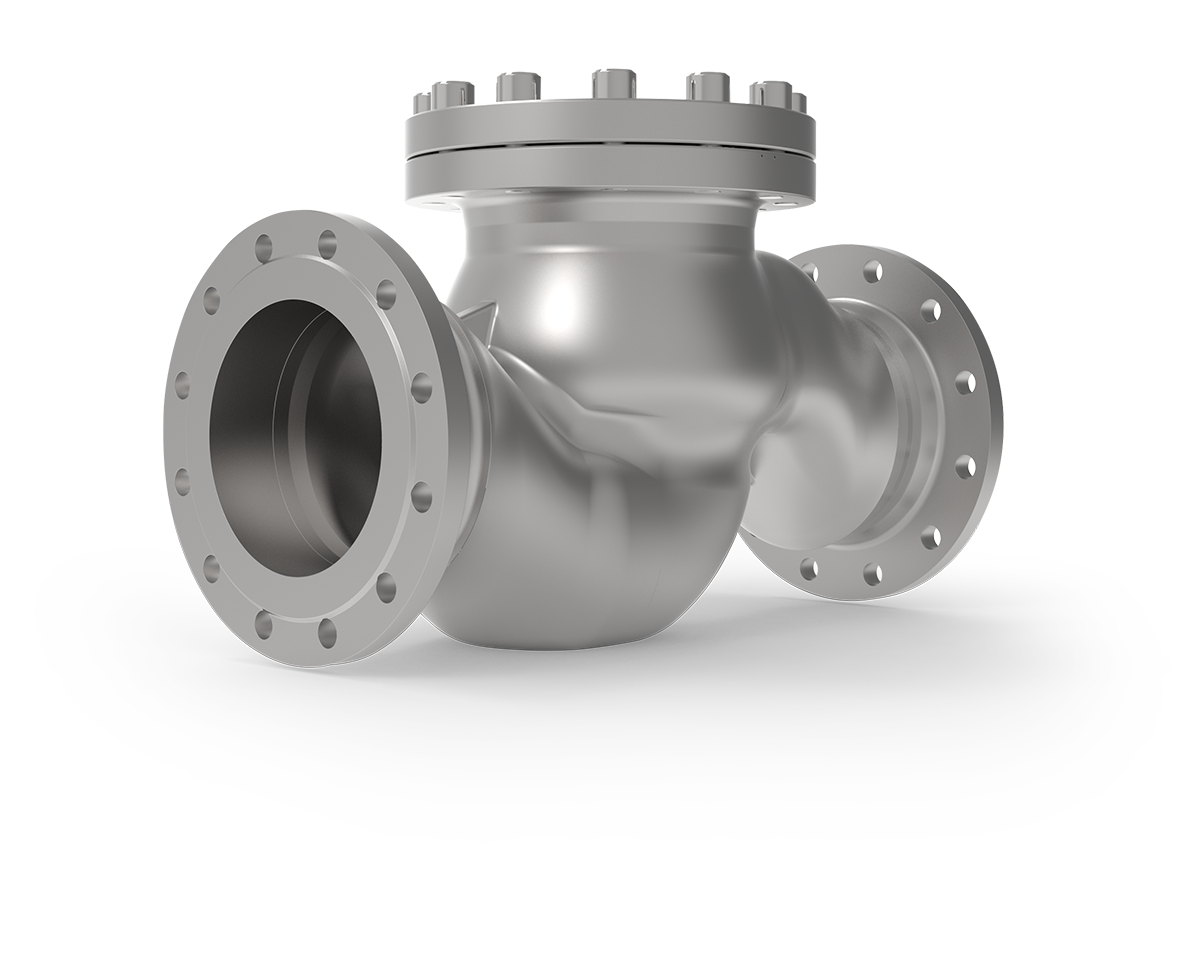 Type 05719 - Check Valve, DIN EN Flanges